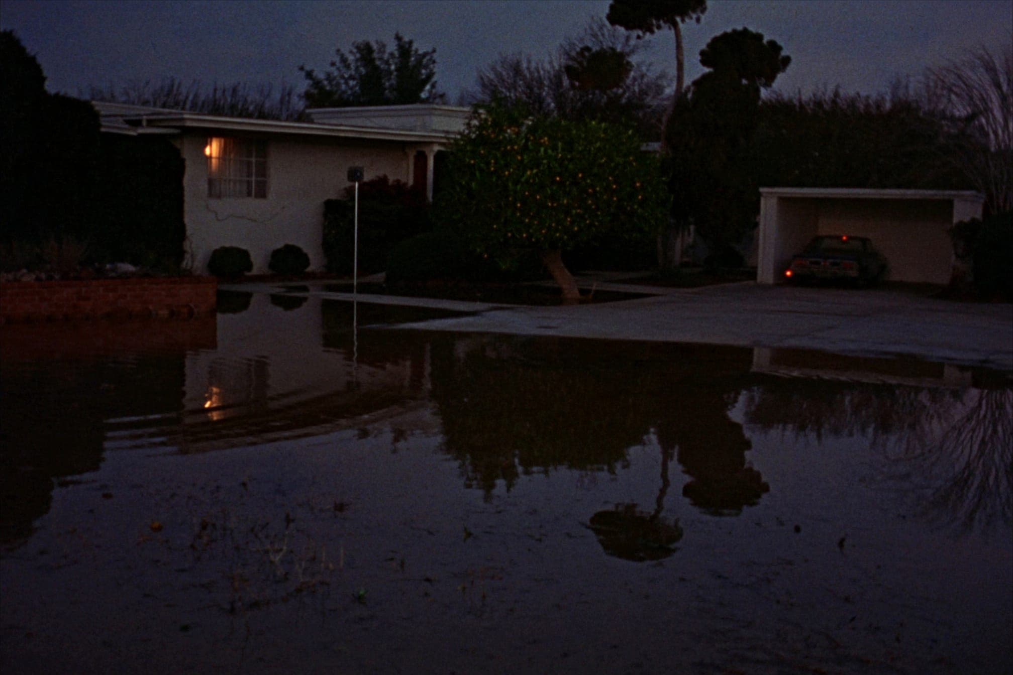 An Arcadia front yard flooded by SRP irrigation at dusk, water standing on the lawn